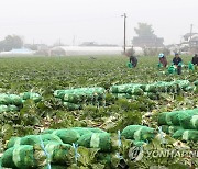 한농연 강원 "외국인 근로자 주거지 인허가 정책은 탁상공론"
