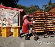 TAIWAN CULTURE PERSIMMON