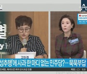 진혜원, 박원순 성추행 인정한 법원에 "나치 돌격대"