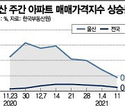 울산 집값 상승률, 규제 뚫고 8주째 '전국 최고'