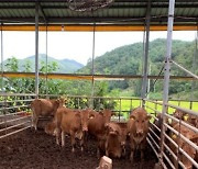 광양시, 축산 및 양봉 분야 보조사업 신청 접수