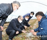 [포토]농협중앙회 부회장, 폭설 한파 피해지역 점검