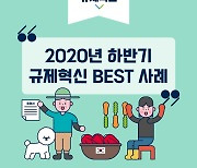 농림축산식품부 2020 하반기 규제혁신 BEST 사례