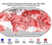 올해도 '가장 뜨거운 해' 행렬은 계속된다