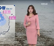 [날씨] 전국 흐리고 미세먼지 '나쁨'..곳곳에 비나 눈