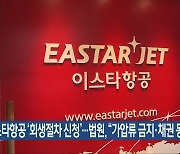 이스타항공 '회생절차 신청'..법원, "가압류 금지·채권 동결"