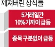 급등 뒤엔 조정? 대형주는 상승 제한?..상식이 깨졌다