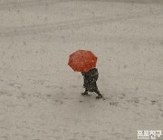 [포토친구] 하얀 눈과 빨간 우산