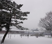 [포토친구] 하얀 코트 입은 겨울나무들
