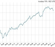 [14:00] 외국인 매도 늘면서 코스닥 시장 하락세(966p, -14.71p)