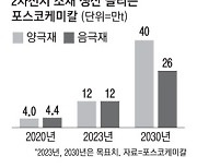 포스코케미칼 1.3조 확보..2차전지 더 달린다