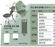 막차탄 개미 '전전긍긍'..코스피 석달만에 2% 급락