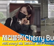 체리블렛(Cherry Bullet) 레미, '상큼한 단발 요정' (대한외국인) [뉴스엔TV]