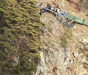 '원주 간현관광지 220m 추락사'는 안전시설 부재로 인한 인재
