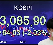 코스피 2%대 급락..3,100선 일주일만에 무너져