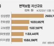 불붙은 증시에 볕드는 변액보험..성장세 눈길