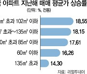"기왕 살집이면 크게"..작년 85㎡ 초과 중형 가격 상승률 '최고'