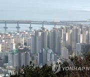 부산·광주, 조정대상지역 지정 후 매매시장 심리지수 하락