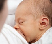 모유(母乳)가 아기 면역력 높이는 이유 알아냈다