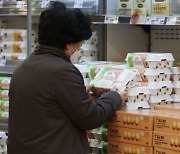 유통업계, 정부와 물가 잡는다..배추·무·계란 20% 할인