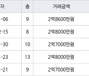 부산 대연동 대연롯데캐슬레전드 39㎡ 2억8600만원.. 역대 최고가