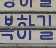 삶의 길[고양이 눈]