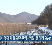홍천, 멧돼지 포획단 운영..영월, 울타리 26Km 설치