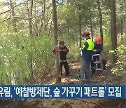 춘천국유림, '예찰방제단, 숲 가꾸기 패트롤' 모집