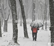 [포토친구] 서남하수공원 풍경