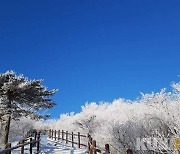 태백산의 아름다운 상고대와 유난히 파란 하늘