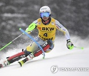 AUSTRIA ALPINE SKIING WORLD CUP