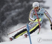 Austria Alpine Skiing World Cup