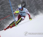 Austria Alpine Skiing World Cup