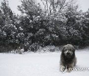 GREECE WEATHER WINTER