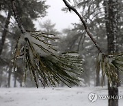 CYPRUS WEATHER SNOW