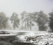 CYPRUS WEATHER SNOW