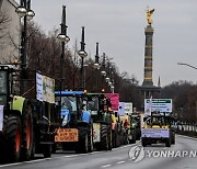 GERMANY AGRICULTURE PROTEST