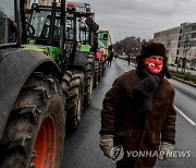 GERMANY AGRICULTURE PROTEST