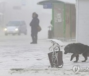 Russia Weather Daily Life
