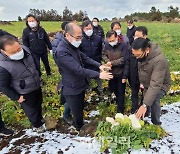 [포토] 제주 한파·폭설 피해지역 점검하는 유찬형 농협부회장