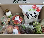 대전 대덕구, 임산부 친환경농산물 지원 18일부터 접수