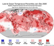 [지금은 기후위기] '슈퍼 엘니뇨, 2016년'과 맞먹은 2020년 "뜨거웠다"