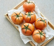 Craving something sweet? Try munching on these tomatoes