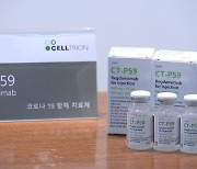 셀트리온 코로나 항체치료제 검증 결과 내일 공개