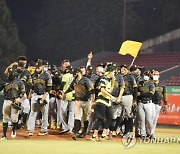 DOMINICAN REPUBLIC BASEBALL