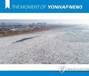 [모멘트] 유빙으로 뒤덮인 한강