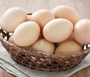 아침에 삶은 계란, 버섯.. 간편하고 면역력에도 좋은 이유