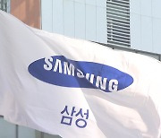 충격에 빠진 삼성.."기업 자유·재산권 침해가 본질"