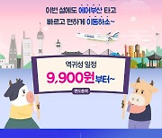 에어부산, 설 연휴 국내선 48편 임시 증편