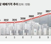강남 집값 잡으려다.. 서울 '10억 아파트' 3배이상 늘었다